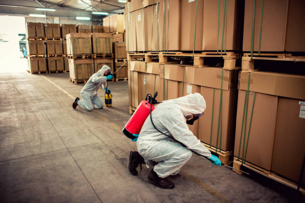 Best Ant Control Services  in Lewisburg, PA