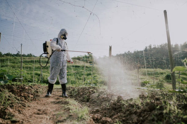 Best Affordable Pest Control Services  in Lewisburg, PA
