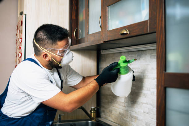 Best Termite Control Services  in Lewisburg, PA