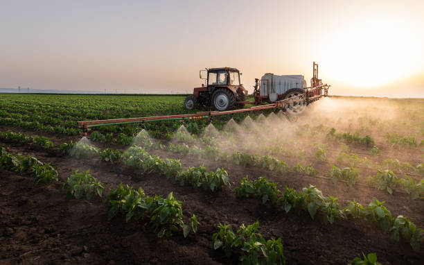 Pest Prevention Services in Lewisburg, PA