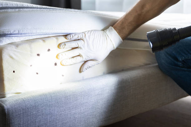 Best Pest Prevention Services  in Lewisburg, PA