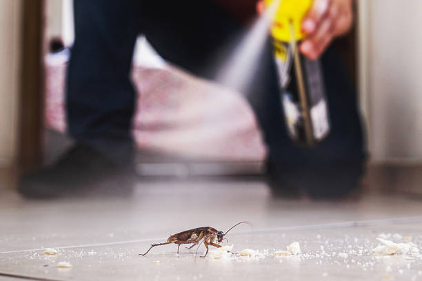 Best Insect Control  in Lewisburg, PA