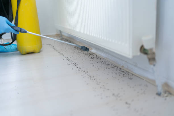 Best Affordable Pest Control Services  in Lewisburg, PA